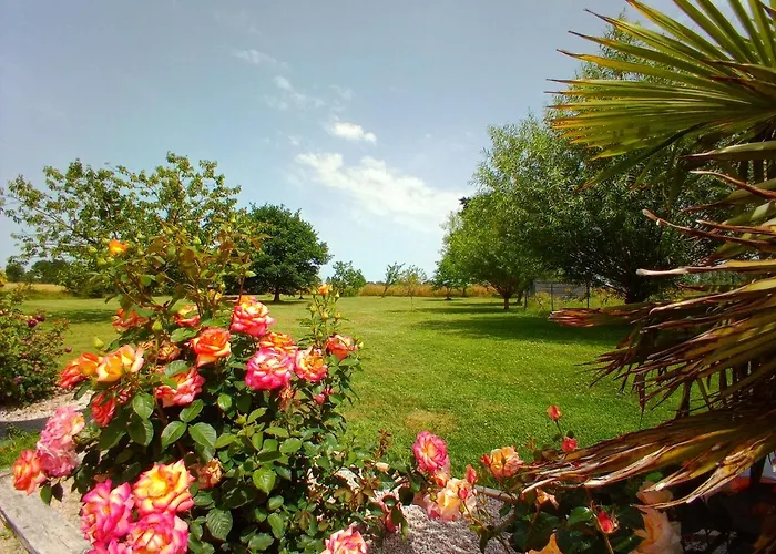 La Ferme D' Emerentine * Bacilly