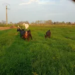 La Ferme D' Emerentine *