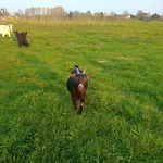 La Ferme D' Emerentine بيت للعطل Bacilly