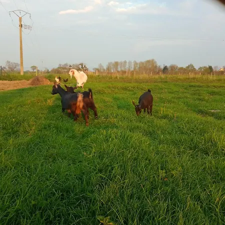 La Ferme D' Emerentine *
