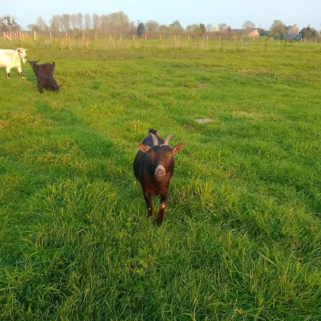 La Ferme D' Emerentine Σπίτι διακοπών Bacilly