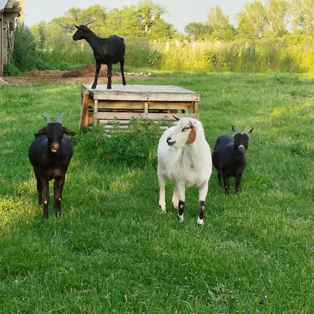 Casa de Férias La Ferme D' Emerentine