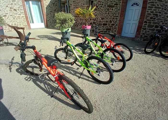 La Ferme D' Emerentine Ferienhaus Bacilly