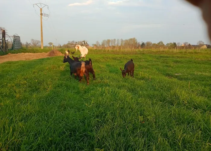 La Ferme D' Emerentine *