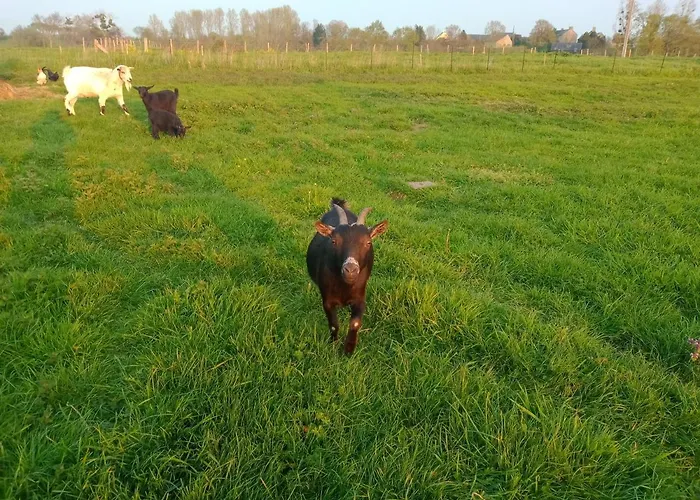 La Ferme D' Emerentine Сasa de vacaciones Bacilly