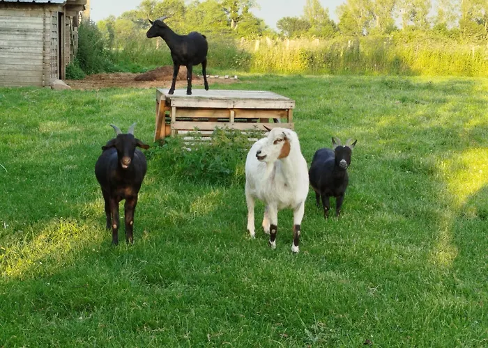 Ferienhaus La Ferme D' Emerentine